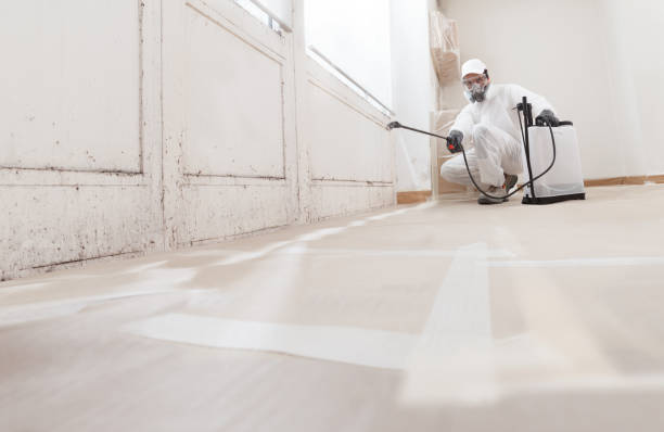 24/7 Emergency Mold Remediation experts in Norristown, PA