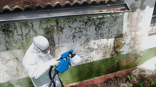Top rated local Mold Remediation specialists in Norristown, PA